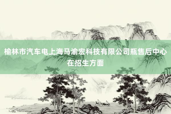 榆林市汽车电上海马渝宏科技有限公司瓶售后中心在招生方面